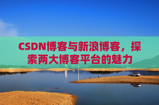 CSDN博客与新浪博客，探索两大博客平台的魅力
